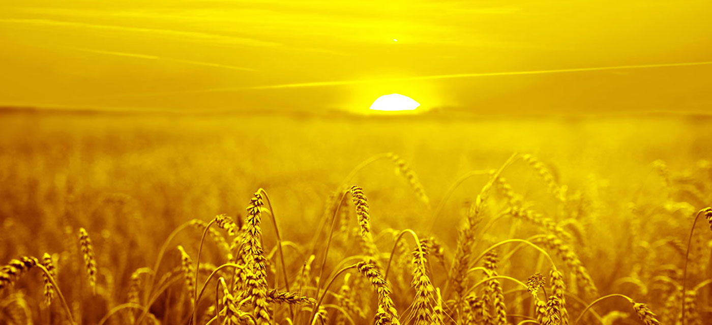 വർണ്ണ പരിഹാരങ്ങൾ വാഗ്ദാനം ചെയ്യുന്നത് ഞങ്ങൾ ഇഷ്ടപ്പെടുന്നു